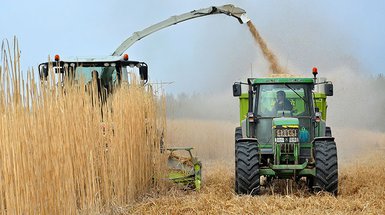 Biomasse: Erfassung und Verwertung von organischen Abfällen